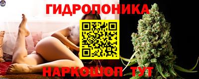 твердый Новодвинск
