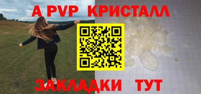 СК Новозыбков
